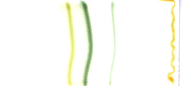 Abbildung 9: Chromatogramm der Blattfarbstoffe
